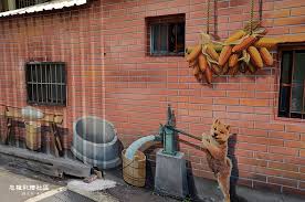 紅磚厝的背景彩繪 還有一隻 柴犬 正在打井水 畫面帶