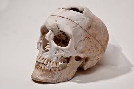 نتیجه جستجوی لغت [gage] در گوگل