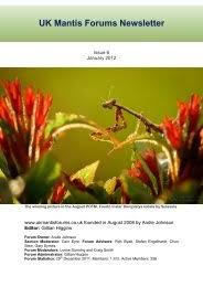 Image result for Sphaeranthus gazaensis