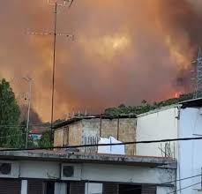 Η πελοπόννησος διαιρείται διοικητικά σε επτά νομούς (αργολίδας, αρκαδίας, αχαΐας, ηλείας, κορινθίας, λακωνίας, μεσσηνίας) ενώ ένα μικρό τμήμα της υπάγεται διοικητικά στο νομό αττικής. H X7um Hy Thxm