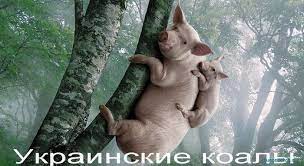 Як змінюється туризм у чорнобиль. Kazalos By Prichem Tut Ukraina Luchshie Memy Pro Ukrainu Rasskazyvaem Pro Mem Kazalos By Priche Animal Photo Manipulation Pig Pictures Funny Animal Pictures