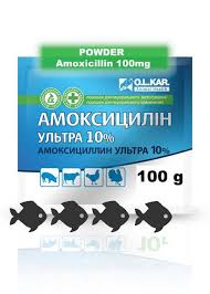 Note:any unused portion of the reconstituted suspension must be discarded after 14 days. Amoxicillin Amox Powder For Fish Homelab Veterinary