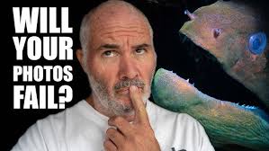 Anne Belcher LRPS explains how joining the RPS helped her photographic  journey.