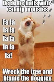 Kitty Christmas Cat Humor Hahaha This Is Sooo Some Cats Funny Animal Jokes Funny Cat Pictures Cute Funny Animals