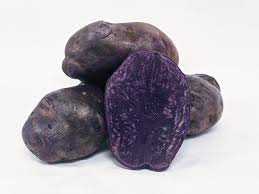 Adirondack Blue Organic Mid Season Potato Potatoes Onions And Exotics