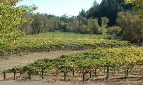 River valley is in northwest arkansas along the arkansas river. Russian River Valley Wein Plus Wein Lexikon