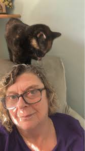 Tortoise Shell Cat Owner's Society and Social Club