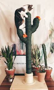 Vous pourrez chater dans les salons publics, en room privé ou bien en message privé. Cactus Cat Tree Kratzbaum Kratzbaum Katze Selbstgemachte Pluschtiere