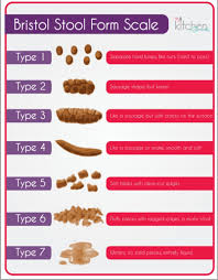 what is your poop telling you