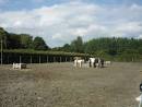 Hoeveel kg is 1m rijnzand Bouwinfo