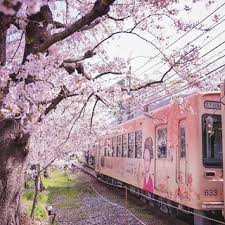 pin on i japan