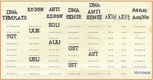 Pembahasan pengertian botani dalam biologi — sejarah, cabang, peranan. Biologi Gonzaga Soal Essay Substansi Genetika