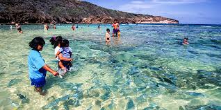 I had four sets of visitors while living there, and hanauma bay was on my map as a. Hanauma Bay Hawaii Life Vacations