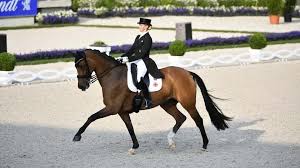 Animal lover, dressagerider, mother, author, businesswoman & enjoying aplant based diet. Platz Zwei Und Drei Fur Werndl Geschwister Sport News Reiterrevue International