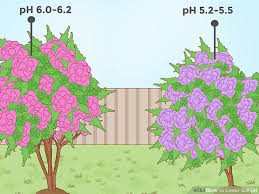 How To Lower Soil Ph With Pictures Wikihow