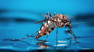 JATAÍ: Prefeitura inicia o Mutirão de Combate à Dengue