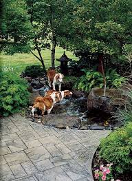 20 Creative Diy Dog Playground In The Backyard Dog Friendly Backyard Dog Backyard Dog Friendly Garden