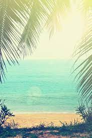 Tropical Background With Sea Beach And Palm Trees In The Vintage Style Photographic Print Natashamam Tropical Background Beach Wallpaper Beach Background