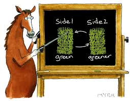 نتیجه جستجوی لغت [idiom] در گوگل