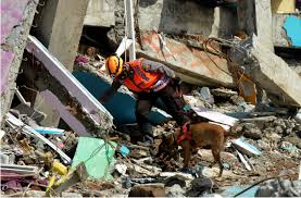 Omw, my office is durban is on the 14th floor. Earthquake Of Magnitude 5 9 Strikes East Java Indonesia Emsc