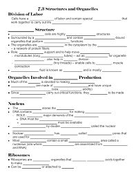 7 3 Structures And Organelles