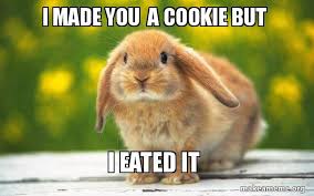 Html embed code for facebook, hi5, tagged, friendster: I Made You A Cookie But I Eated It Regretful Rabbit Make A Meme