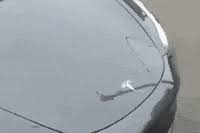 If you look over tesla's accident data over the course of 2020, you can see it's pretty consistent until the on saturday night, a 2019 tesla model s crashed into a tree in a suburb of houston, texas. Tesla Fail Gifs Get The Best Gif On Giphy