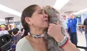 Así fue el emotivo reencuentro de una venezolana con su mascota, seis años  después de abandonar el país