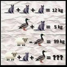 Why Do Birds Fly South For The Winter Riddle Math Picture Puzzle For Students With Answer Math Pictures Maths Puzzles Math Logic Puzzles