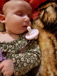 Prayers for 4-year-old with brain tumor