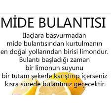 Mide Bulantisi Icin Dogal Bitkisel Tarifler Saglik