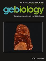 Hasil kiriman dari sobat karya layeut yang kami terima, untuk di uji menggunakan md20falcon diy hasil pengujian pada video berikutnya. In Situ Fe And S Isotope Analyses In Pyrite From The 3 2 Ga Mendon Formation Barberton Greenstone Belt South Africa Evidence For Early Microbial Iron Reduction Marin Carbonne 2020 Geobiology Wiley Online Library