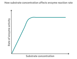 Enzyme essentials: definition, functions and types | INTEGRA
