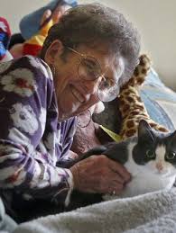 More 'elder orphans' without family nearby needing help