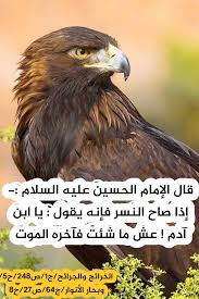 Pin On احاديث ا هل الب يت ص