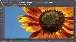 We did not find results for: Cutting Out Objects In Your Photos With Magnetic Lasso Youtube