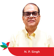 Strategic expertise guided by the leadership team