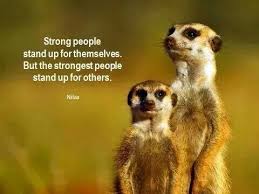 Pin By Rae Weaver On Quotes That I Love Meerkat Small Pets Animals