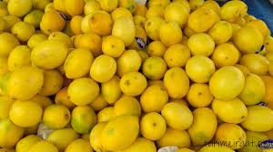 antalya limon fiyatlari 2021