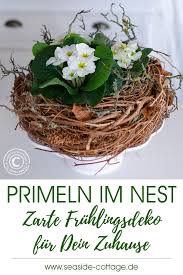 Zarte Fruhlingsdeko Mit Primeln Im Nest Diy Anleitung Schritt Fur Schrittwww Seaside Cottage De Fruhling Fru Fruhlingsdeko Deco Fruhling Fruhlings Dekoration