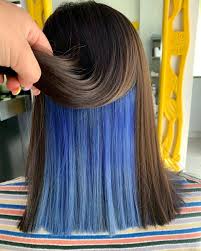 Underneath Dyed Hair Color Ideas For Brunettes Xfitculture Com Hair Color Underneath Dyed Hair Hair Dyed Underneath
