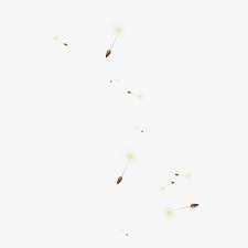 Browse and download hd anime gif png images with transparent background for free. Portable Network Graphics Desktop Wallpaper Gif Yellow Dandelion Hd Png Download Transparent Png Image Pngitem
