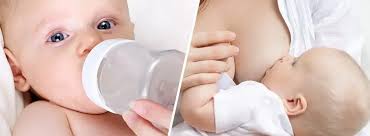 Image result for Formula Feeding