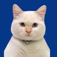 1800+ "Nemesis" profiles