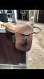 Image result for "Horsey Stuff:"