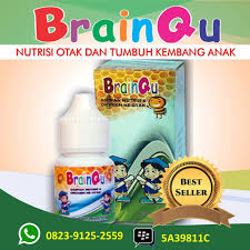 Hasil gambar untuk brainqu cikampek
