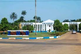 MDCN inducts 15 Igbinedion Varsity's medical doctor graduates - Daily Post  Nigeria
