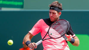 The last time juan martin del potro was in this spot, it ended in tears—an emotional undoing after an saturday in rio was different. Juan Martin Del Potro Wary Of Milos Raonic Threat Ahead Of Miami Quarter Final The National