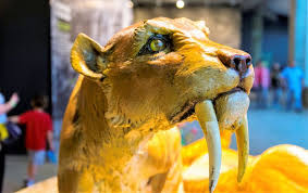 Check spelling or type a new query. Tigre Dientes De Sable Caracteristicas Habitat Alimentacion Extincion