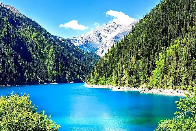 Jiuzhaigou in Summer: Weather, Scenery, Packing List & Travel Tips
